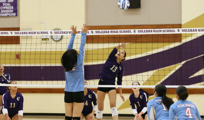 Volleyball 2 Dulce Reyes Soledad Soledad volleyball