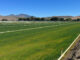 Greenfield Turf