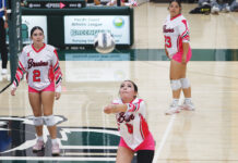 Volleyball | King City tied for 2nd after wins over Alisal, Soledad; Greenfield drops 2 straight in Cypress play Greenfield volleyball
