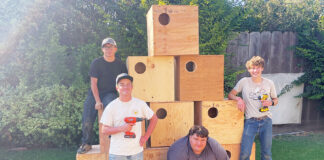 Gonzales Scout builds owl boxes to address rodent problem at wastewater facility Owl boxes