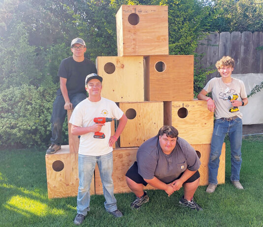 Gonzales Scout builds owl boxes to address rodent problem at wastewater facility Owl boxes