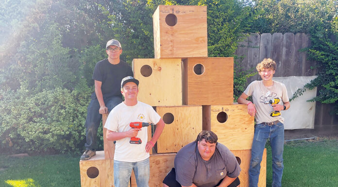 Gonzales Scout builds owl boxes to address rodent problem at wastewater facility Owl boxes