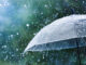 Rain storm weather umbrella