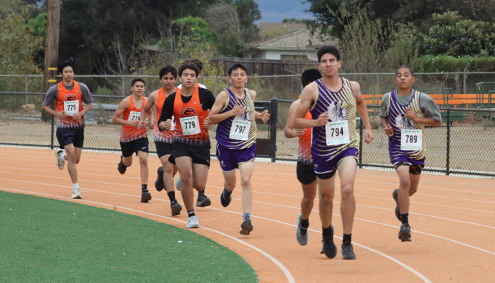 Cross country teams